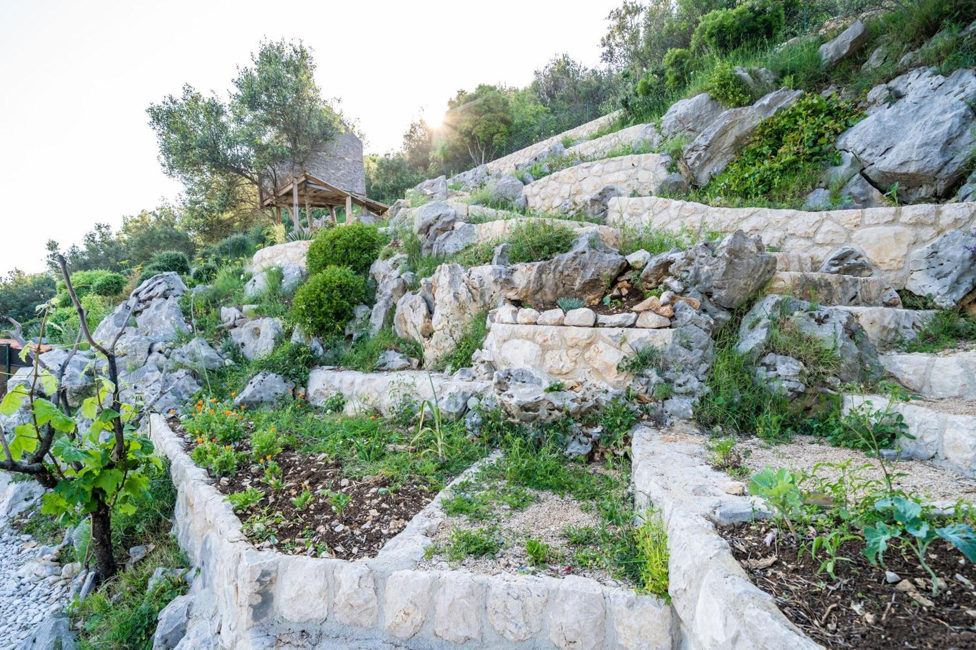 Arcadia Appartement Dubrovnik
